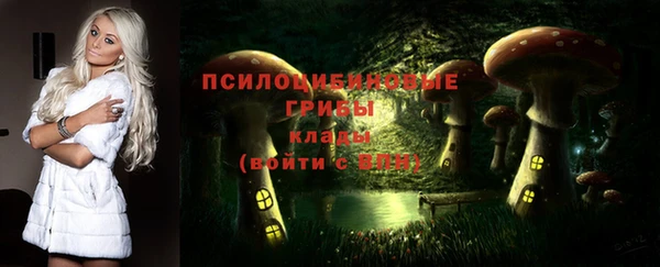 дмт Алзамай