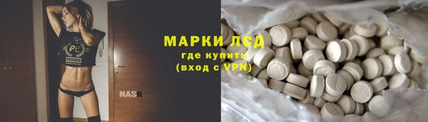 дмт Алзамай