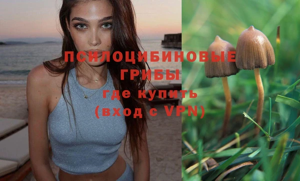 спайс Алексин