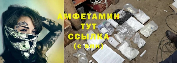 дмт Алзамай