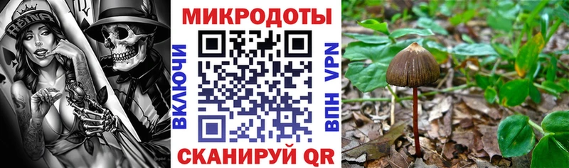 Псилоцибиновые грибы прущие грибы  Шлиссельбург 