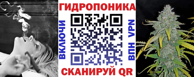 Каннабис планчик  наркошоп  Шлиссельбург 